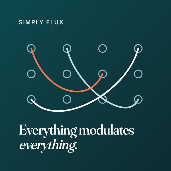 Simply Flux: a grid of sockets with three cables crossing between them — Everything modulates everything.